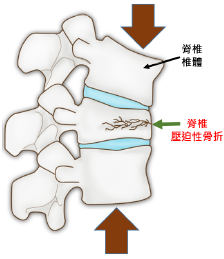 cc930e0e87268abcd572d5c58787c780.png