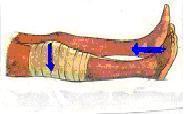 9d35bb198e17f541bfdaab08f337ac0a.jpg